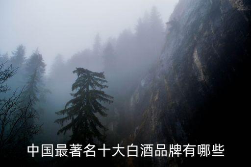 中國最著名十大白酒品牌有哪些