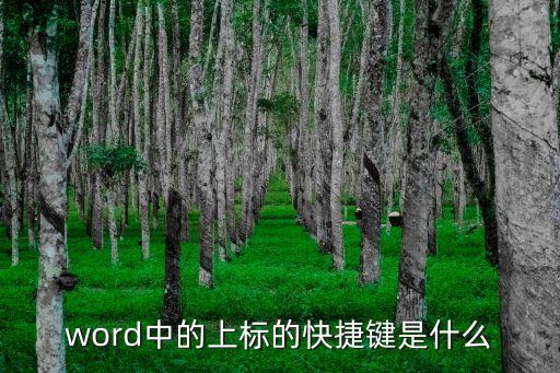 word中的上標(biāo)的快捷鍵是什么