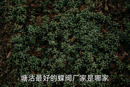 天津市津塘閥門50氣蝶閥，天津供應對夾式蝶閥最好的廠家