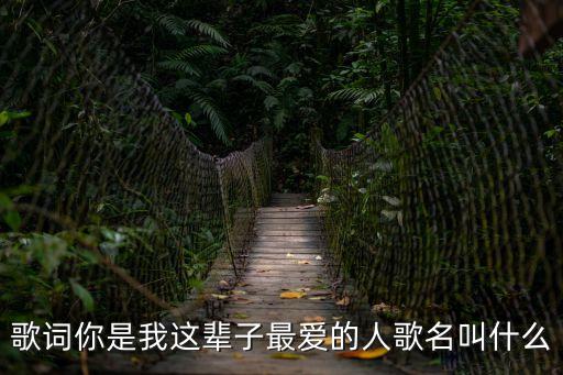 歌詞你是我這輩子最愛的人歌名叫什么