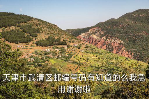 天津市武清區郵編號碼有知道的么我急用謝謝啦