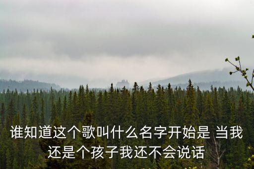 誰知道這個歌叫什么名字開始是 當(dāng)我還是個孩子我還不會說話