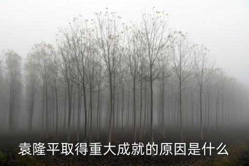 袁隆平取得重大成就的原因是什么