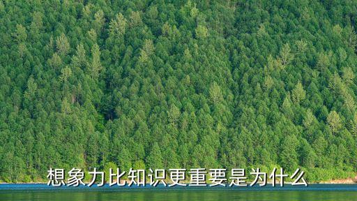 想象力比知識(shí)更重要，想象力比知識(shí)更重要是誰(shuí)寫的