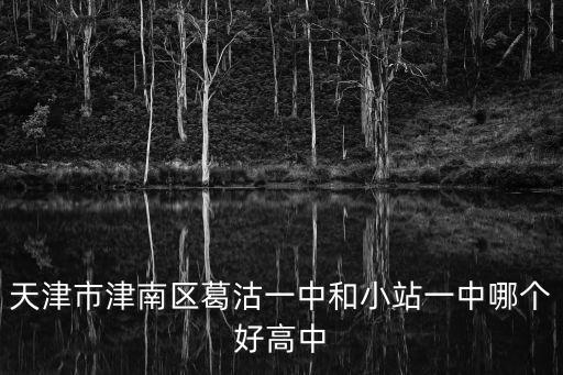 天津市津南區葛沽一中和小站一中哪個好高中