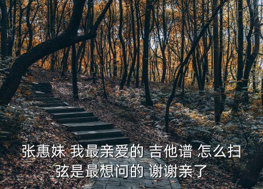 張惠妹 我最親愛的 吉他譜 怎么掃弦是最想問的 謝謝親了