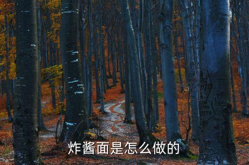 炸醬面的制作方法，炸醬面的做法