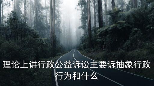 行政公益訴訟，理論上講行政公益訴訟主要訴抽象行政行為和什么