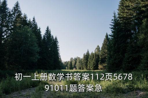 七年級(jí)上冊(cè)數(shù)學(xué)書答案，七年級(jí)數(shù)學(xué)上冊(cè)答案
