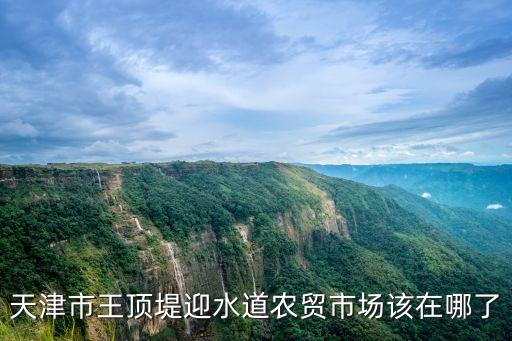 天津市王頂?shù)逃擂r(nóng)貿(mào)市場該在哪了