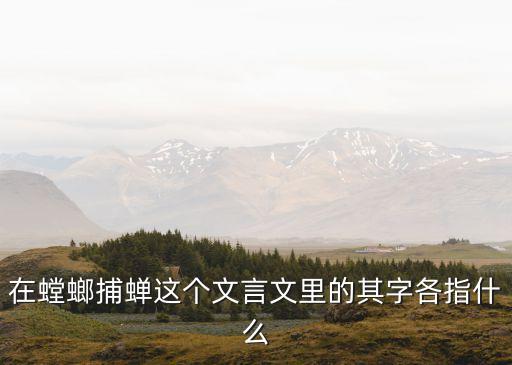 在螳螂捕蟬這個(gè)文言文里的其字各指什么