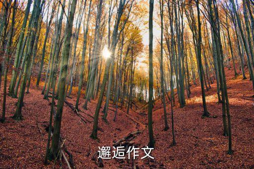 邂逅作文
