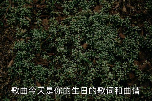 今天是你的生日簡譜，今天是你的生日我主耶穌歌譜