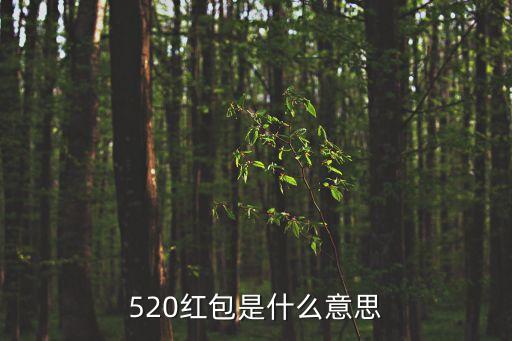 520紅包，520紅包是什么意思