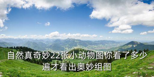 自然真奇妙22張小動物圖你看了多少遍才看出奧妙組圖