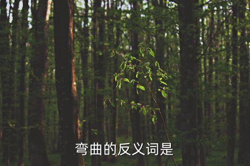 彎曲的反義詞是