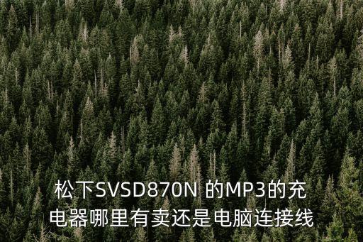松下SVSD870N 的MP3的充電器哪里有賣還是電腦連接線