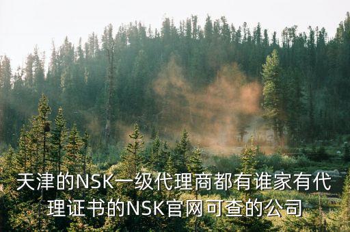 天津的NSK一級代理商都有誰家有代理證書的NSK官網可查的公司