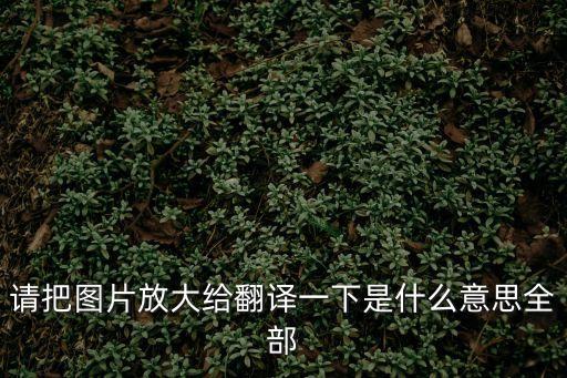 放大英文，自大的英語單詞