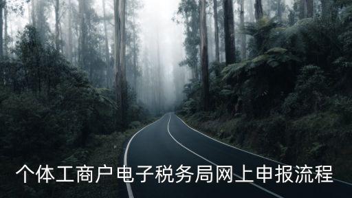 個體工商戶電子稅務局網上申報流程