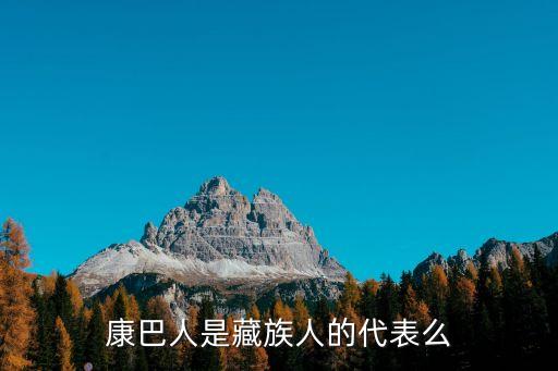 康巴人是藏族人的代表么