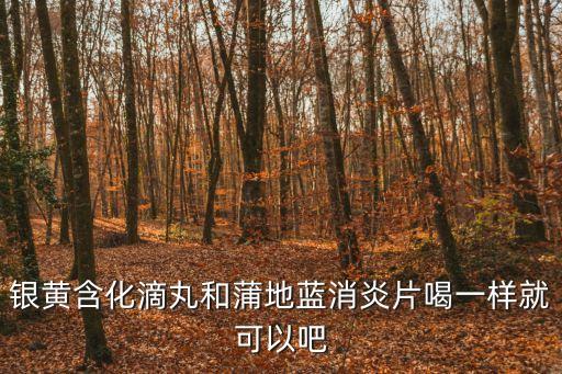 銀黃含化滴丸，銀黃含化滴丸和蒲地藍消炎片喝一樣就可以吧