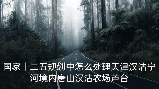 國家十二五規劃中怎么處理天津漢沽寧河境內唐山漢沽農場蘆臺