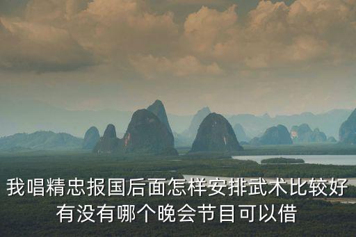 精忠報國武術操，我唱精忠報國后面怎樣安排武術比較好有沒有哪個晚會節目可以借