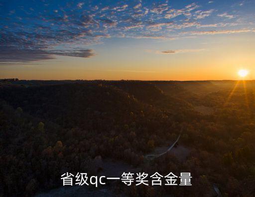 天津市QC含金量，QC國際金獎含金量是什么級別