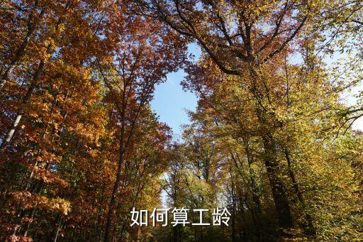 如何算工齡