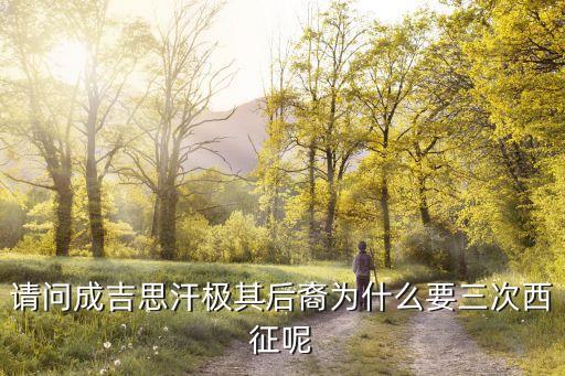 請問成吉思汗極其后裔為什么要三次西征呢