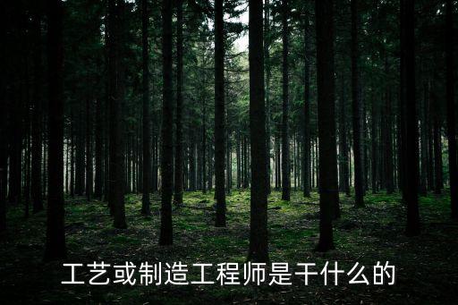 工藝工程師是做什么的，工藝制程工程師大家是做什么工作的呀