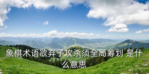 棄子攻殺，象棋術語欲棄子攻殺須全局籌劃 是什么意思
