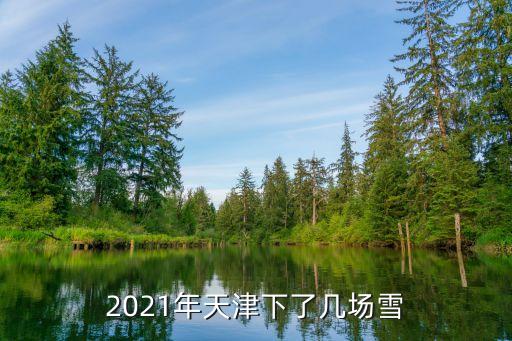 2021年天津下了幾場雪