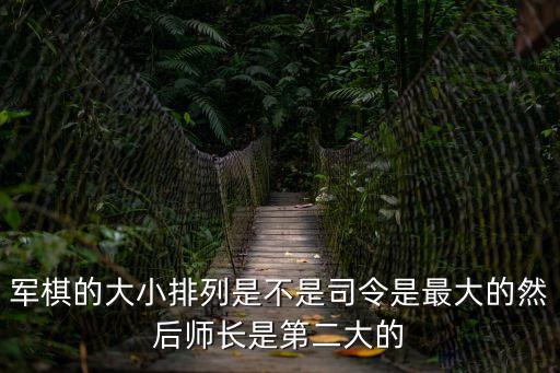 軍棋的大小排列是不是司令是最大的然后師長是第二大的