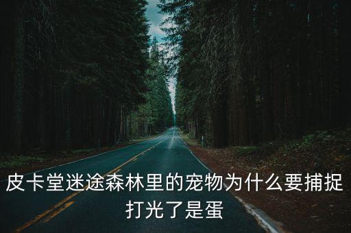 百愛之屋，島上有健身房嗎