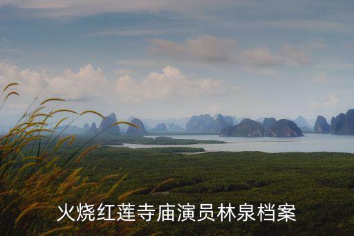 火燒紅蓮寺廟演員林泉檔案