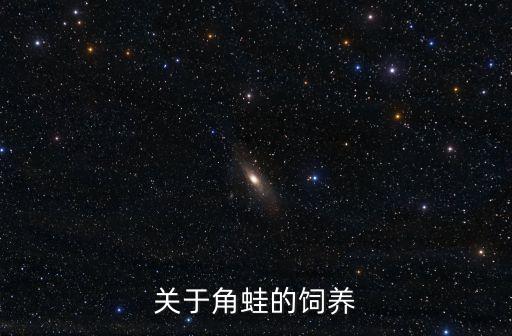 關(guān)于角蛙的飼養(yǎng)