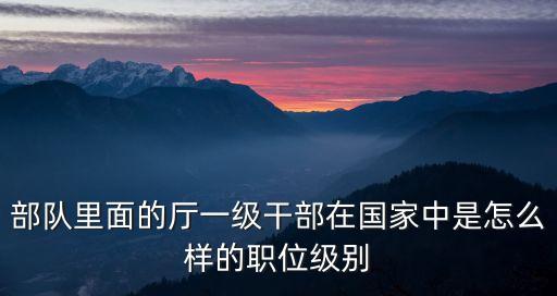 部隊(duì)里面的廳一級(jí)干部在國家中是怎么樣的職位級(jí)別