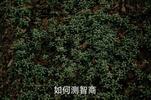 如何測智商