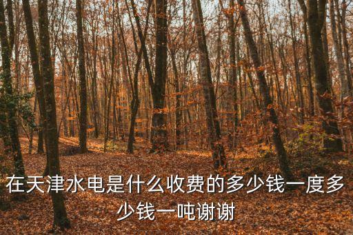 在天津水電是什么收費(fèi)的多少錢一度多少錢一噸謝謝