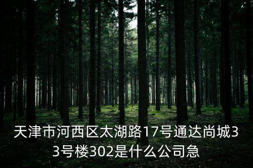 天津市河西區太湖路17號通達尚城33號樓302是什么公司急
