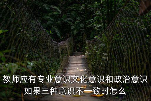 教師應(yīng)有專業(yè)意識文化意識和政治意識如果三種意識不一致時怎么