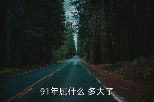 91年屬什么 多大了