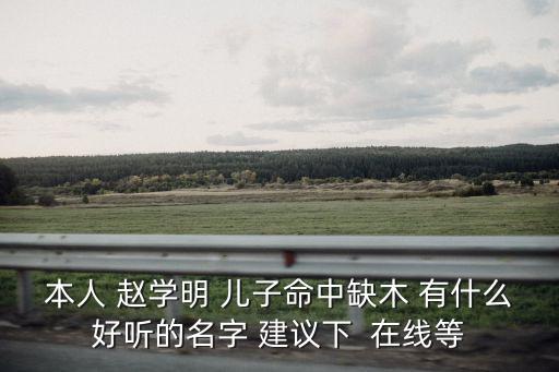 本人 趙學明 兒子命中缺木 有什么好聽的名字 建議下  在線等