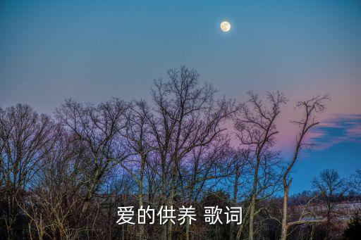 愛的供養(yǎng) 歌詞