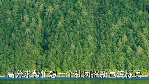 社團(tuán)招新文案，高分求幫忙想一個(gè)社團(tuán)招新宣傳標(biāo)語