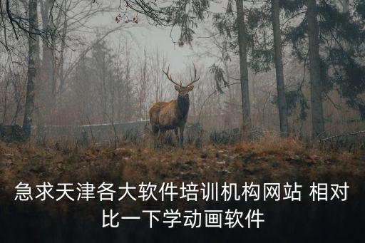 天津市未名科技教育，急求天津各大軟件培訓(xùn)機(jī)構(gòu)網(wǎng)站 相對(duì)比一下學(xué)動(dòng)畫(huà)軟件