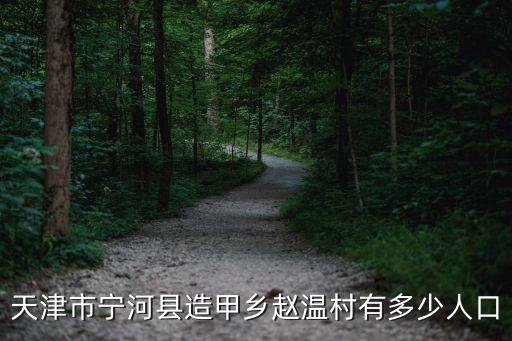 天津市寧河縣造甲鄉(xiāng)趙溫村有多少人口