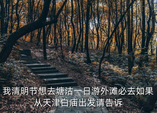 我清明節(jié)想去塘沽一日游外灘必去如果從天津白廟出發(fā)請告訴